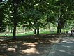 NYC0003-CentralPark.jpg